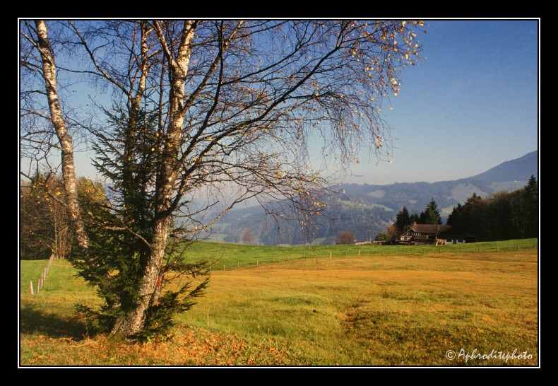 15 Typische Landschaft